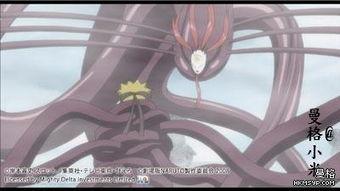 火影忍者最新爆料零尾,火影忍者新篇章的神秘力量揭晓