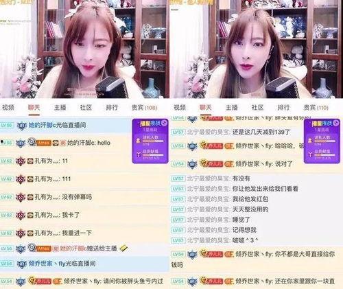 粉球最新爆料视频大全,揭秘幕后真相，精彩瞬间大盘点