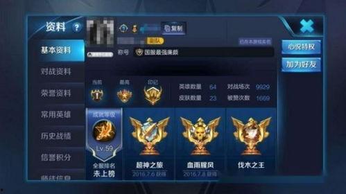 国服王者皮肤爆料最新,神秘英雄华丽登场，视觉盛宴即将开启！