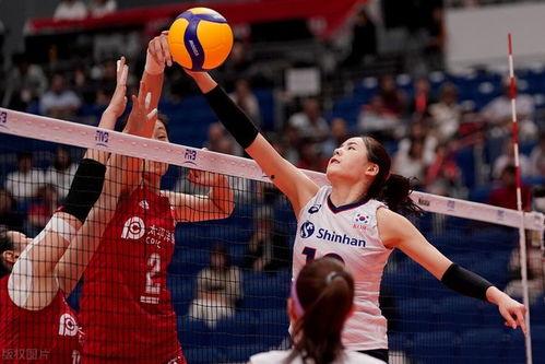 中国排球爆料视频最新,揭秘赛场幕后风云