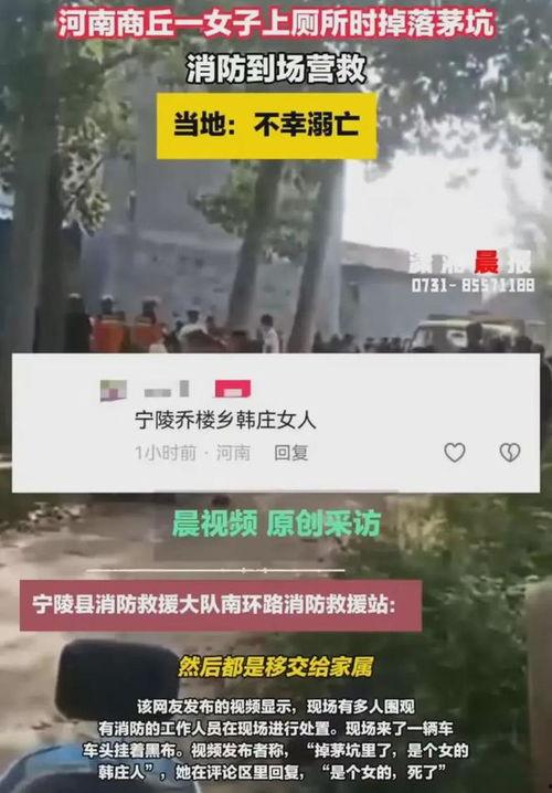 河南爆料事件最新消息,真相逐步浮出水面